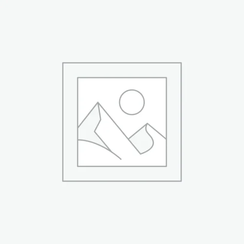Fort Wayne – Bronze Plan